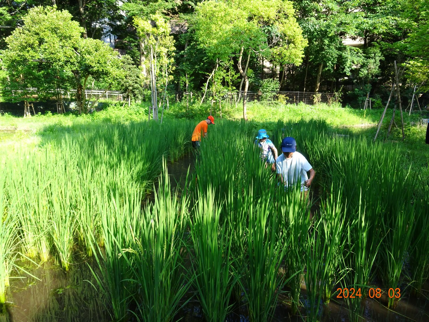 DSC04093S2.jpg