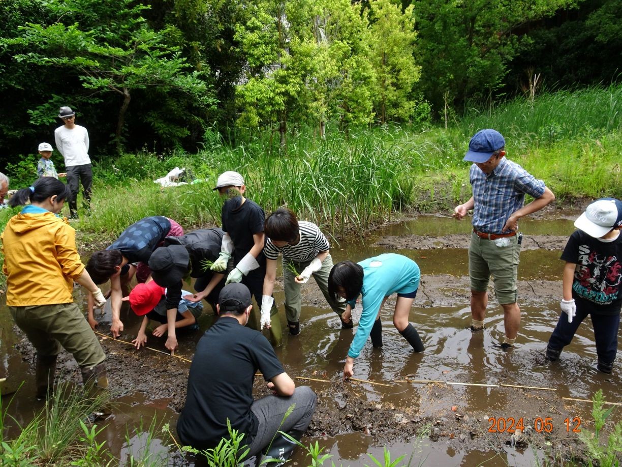 田植おーちゃん