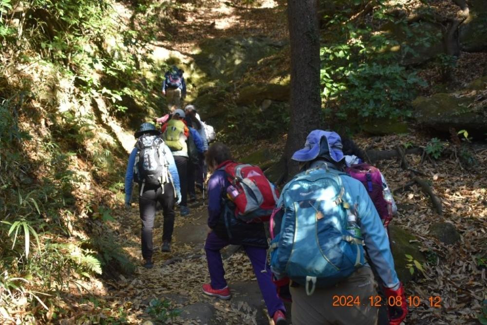 DSC_0360 (1)