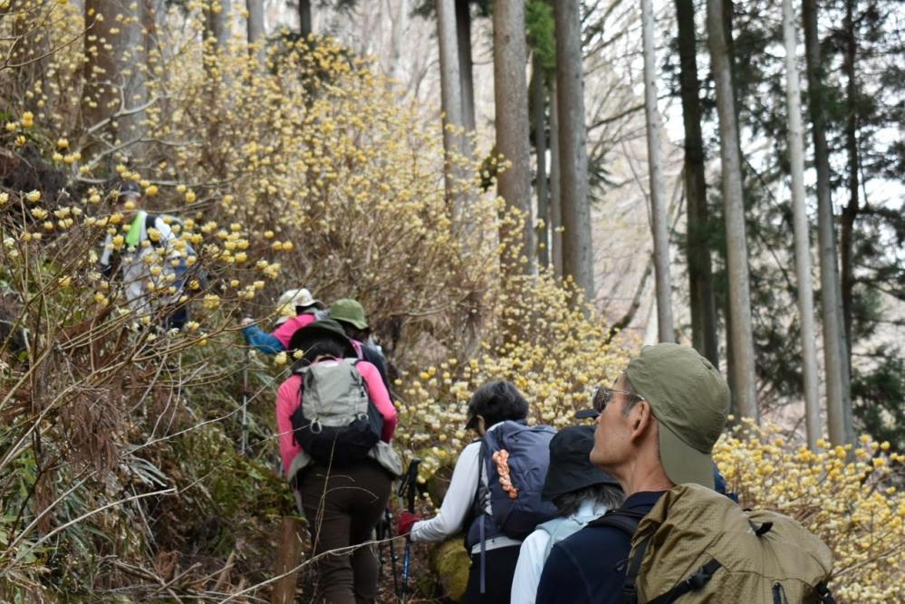 ミツバ岳4.5