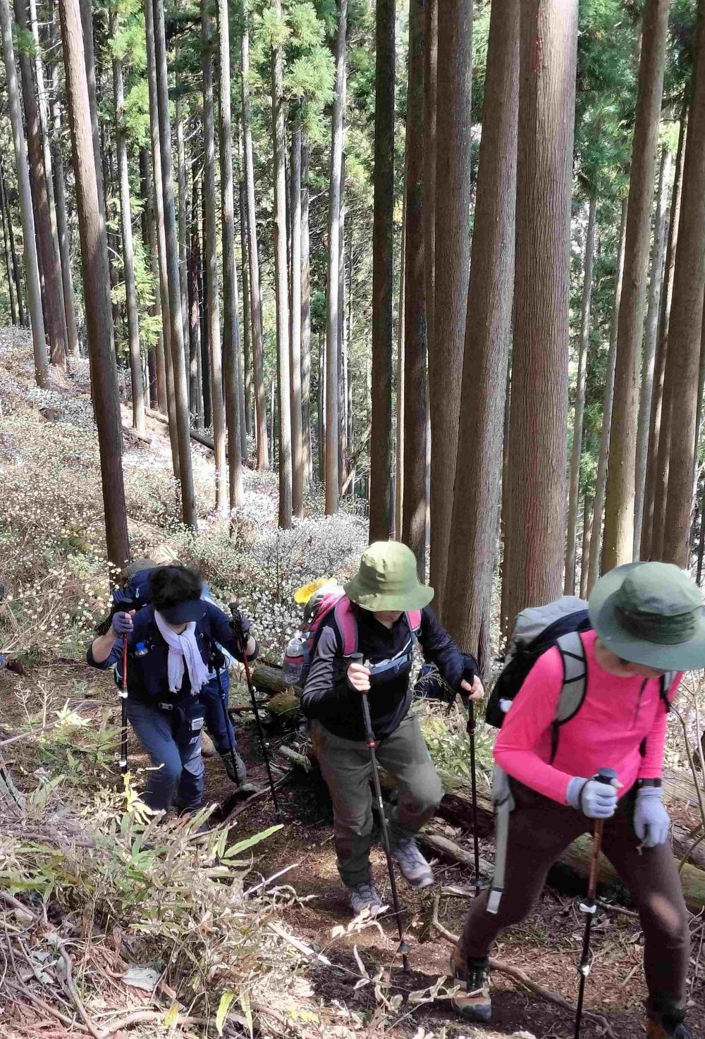 ミツバ岳7.5