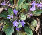 IMG_20260429_183905