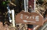 IMG_20260429_132046
