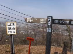 DSCF3739