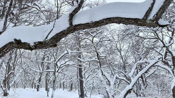 001戦場ヶ原雪景色