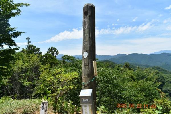 009 赤ぼっこ山頂