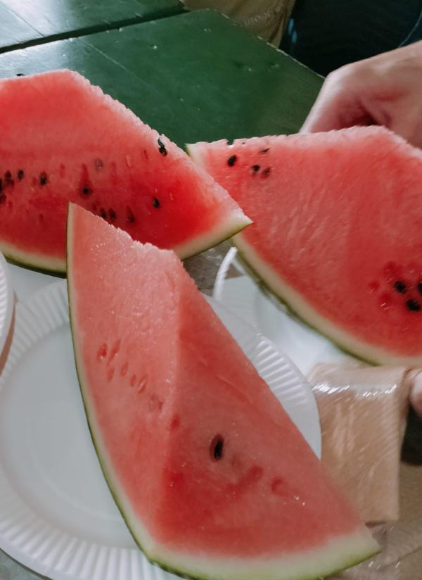 燕5