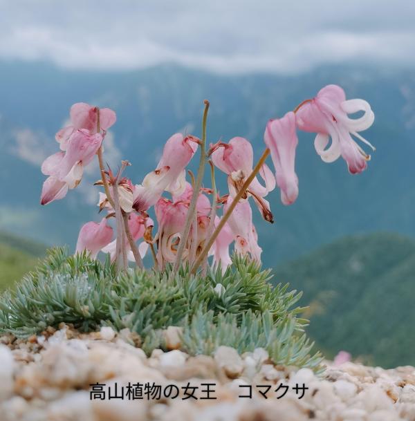 燕18
