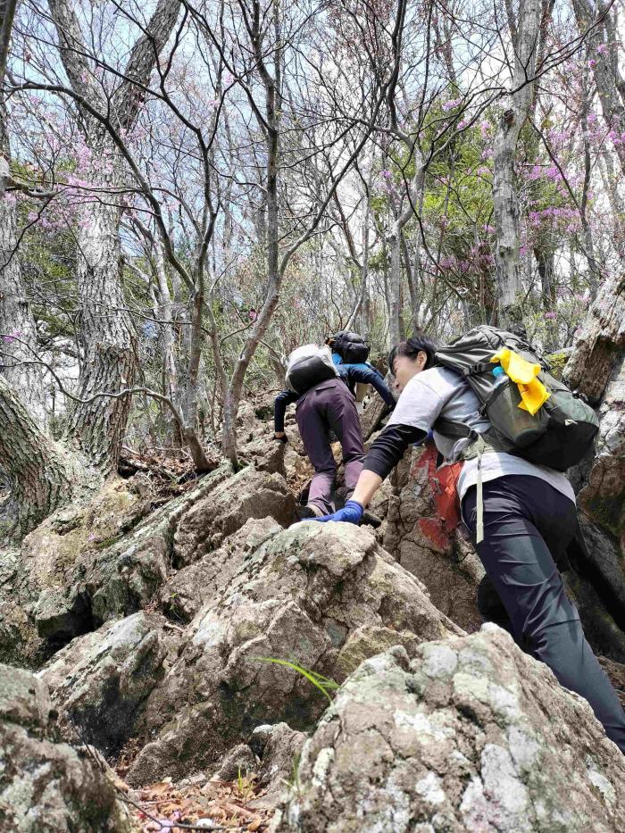 滝子山9