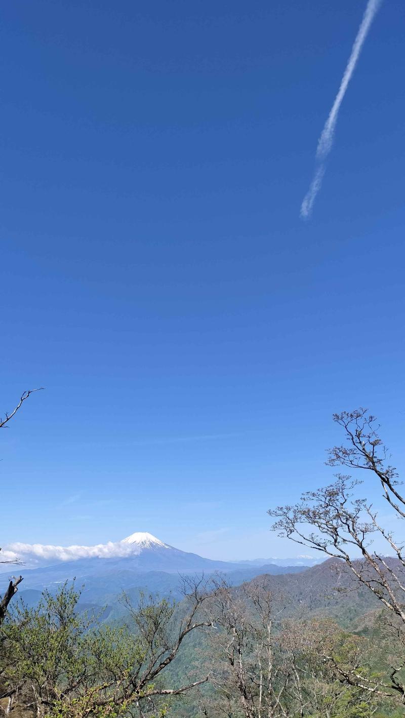 丹沢14