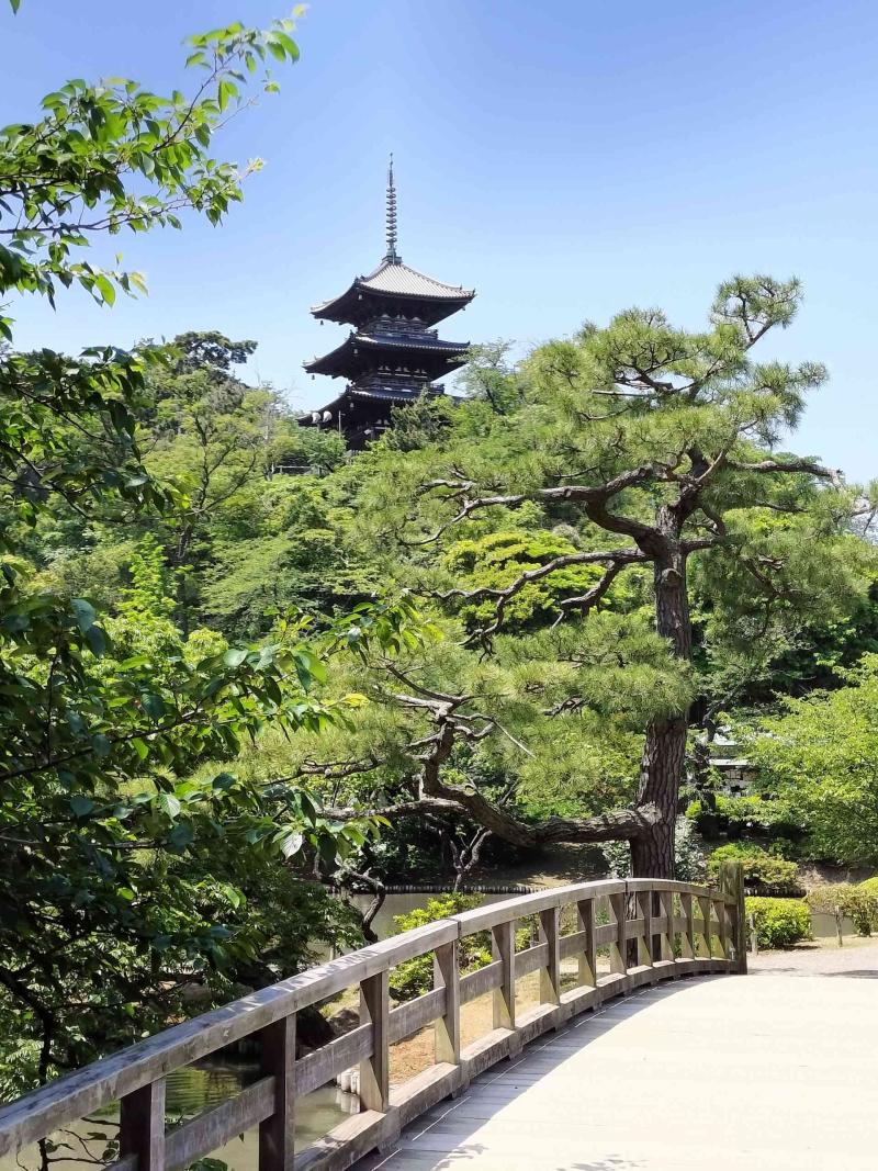 三渓園2