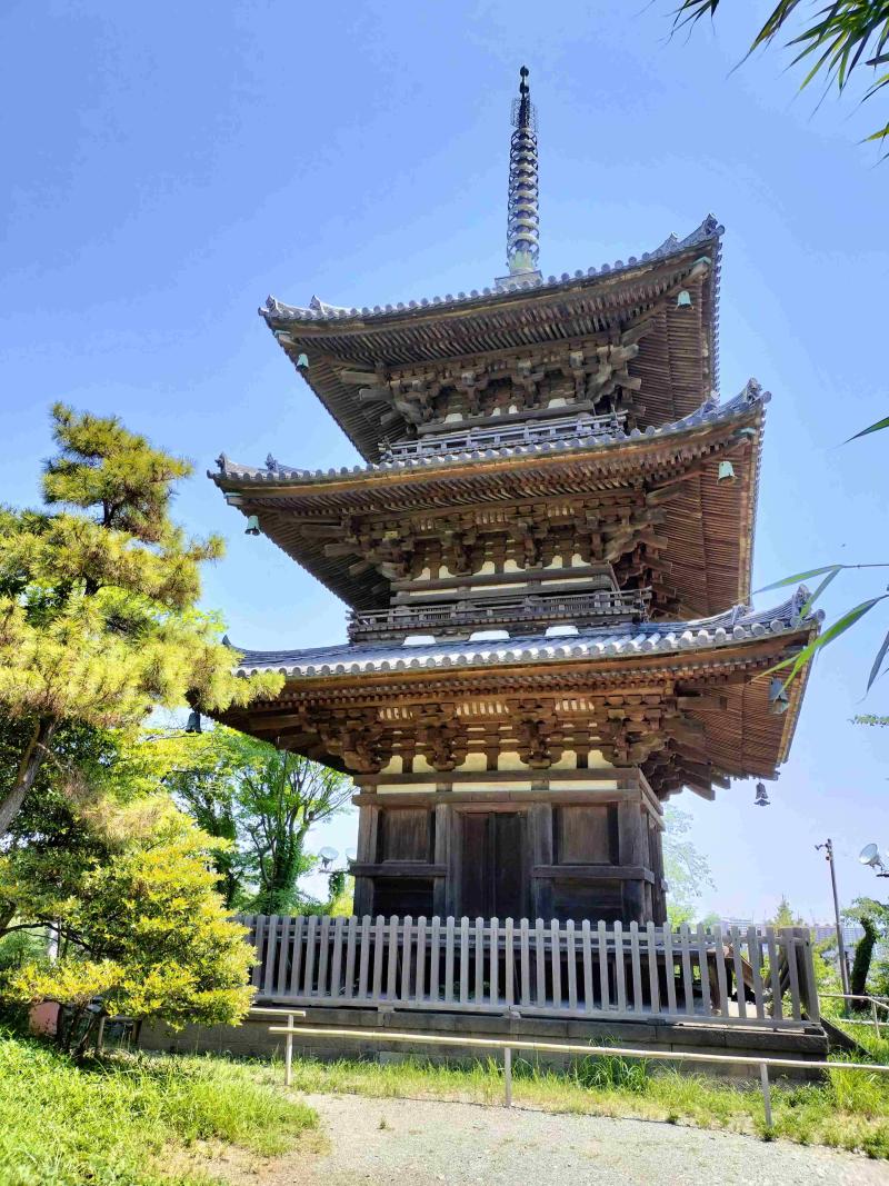 三渓園5