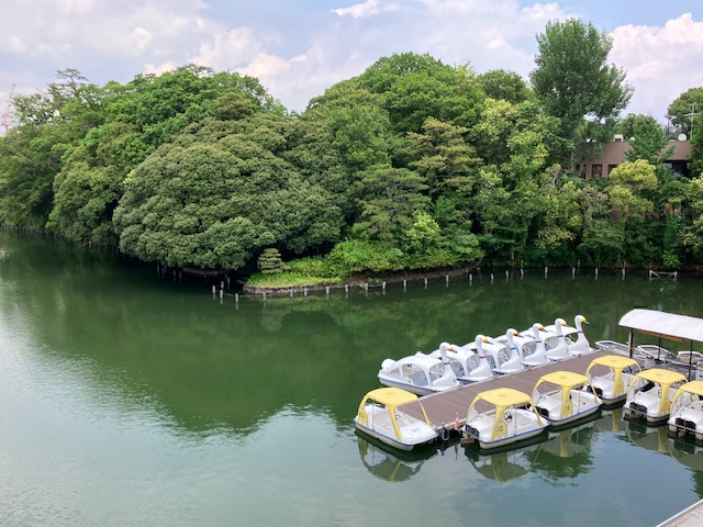 洗足池の写真.jpg