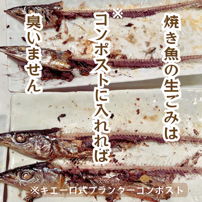 焼き魚500.jpg
