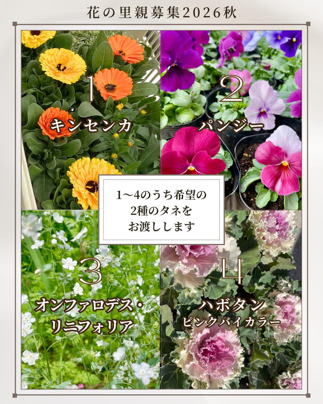 花の里親2.png