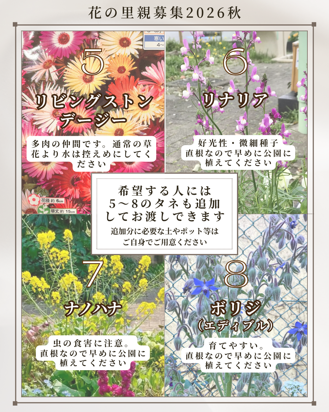 花の里親3.png