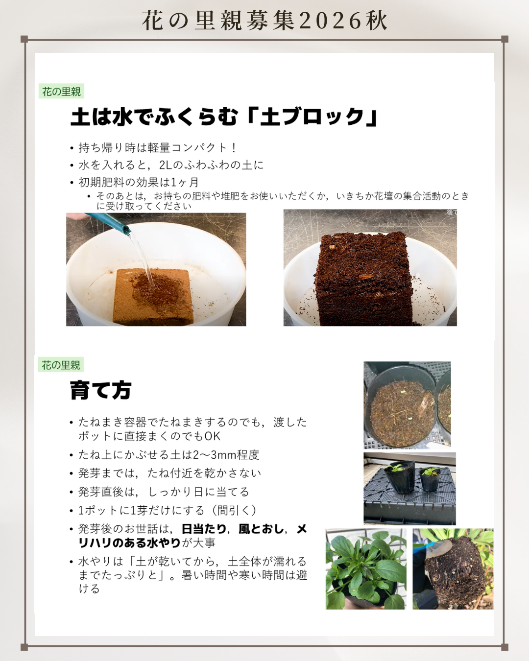 花の里親5.png