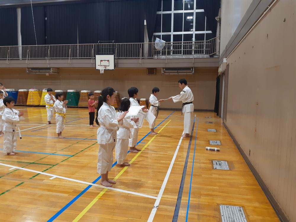 5暖樹