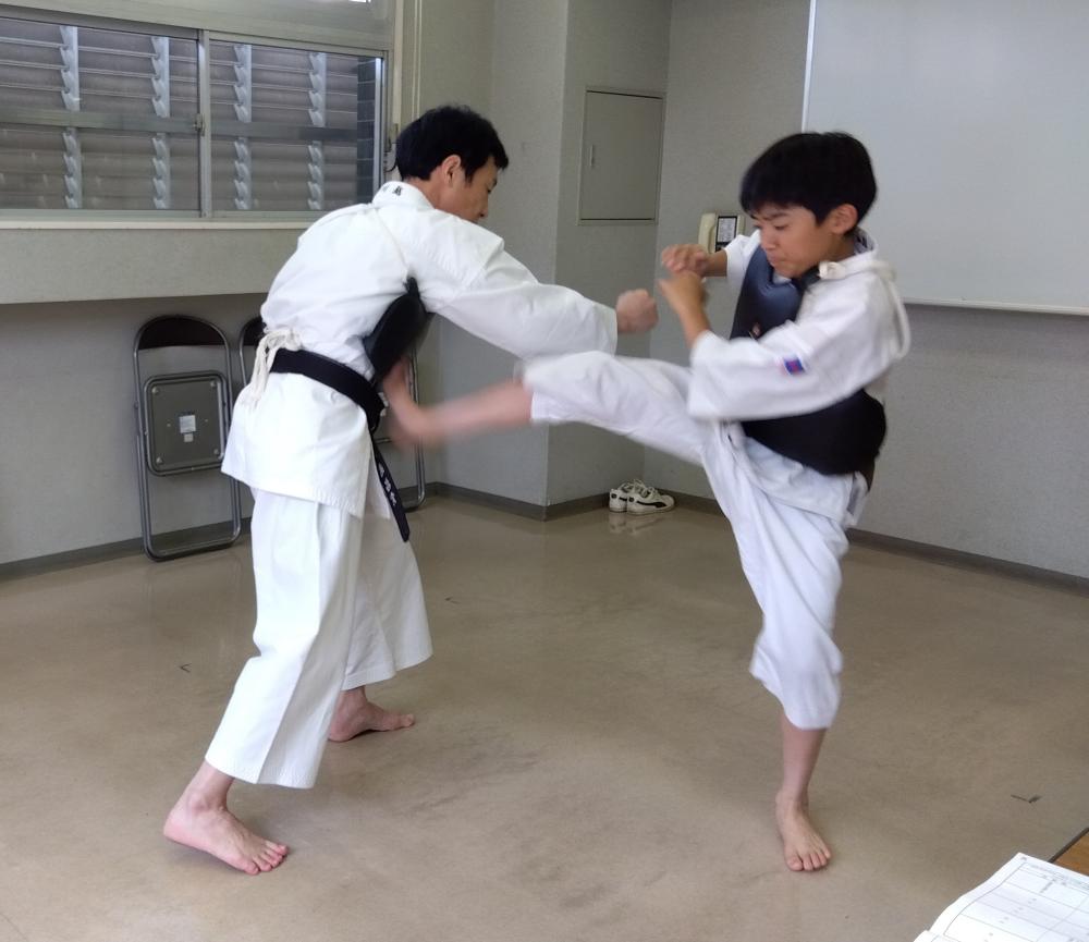 暖樹1