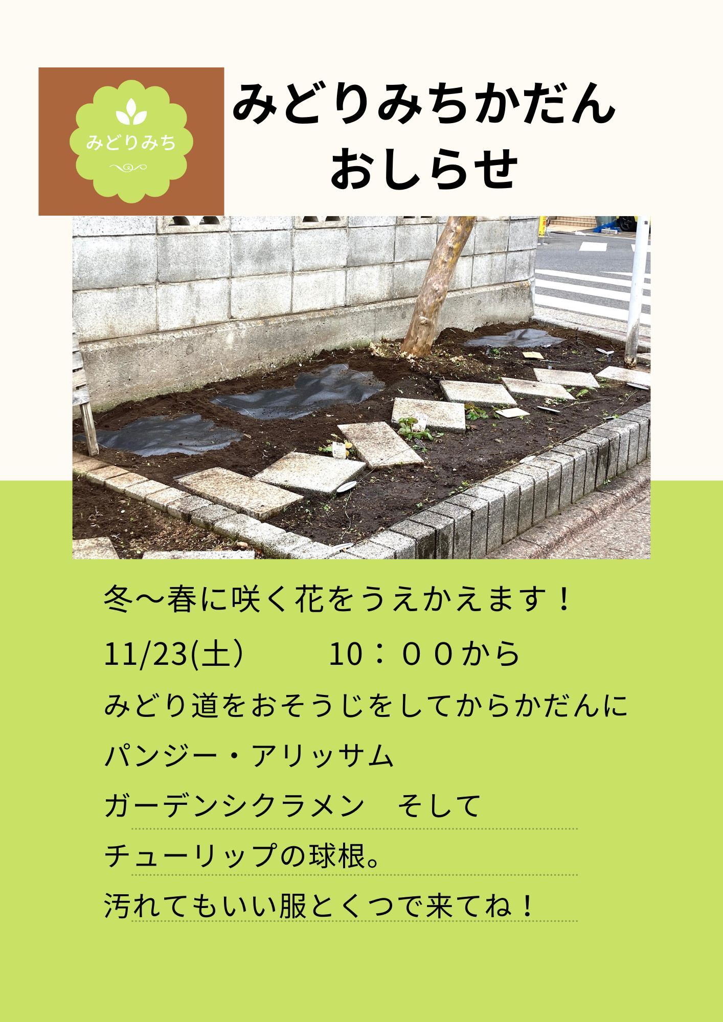 秋の植替え