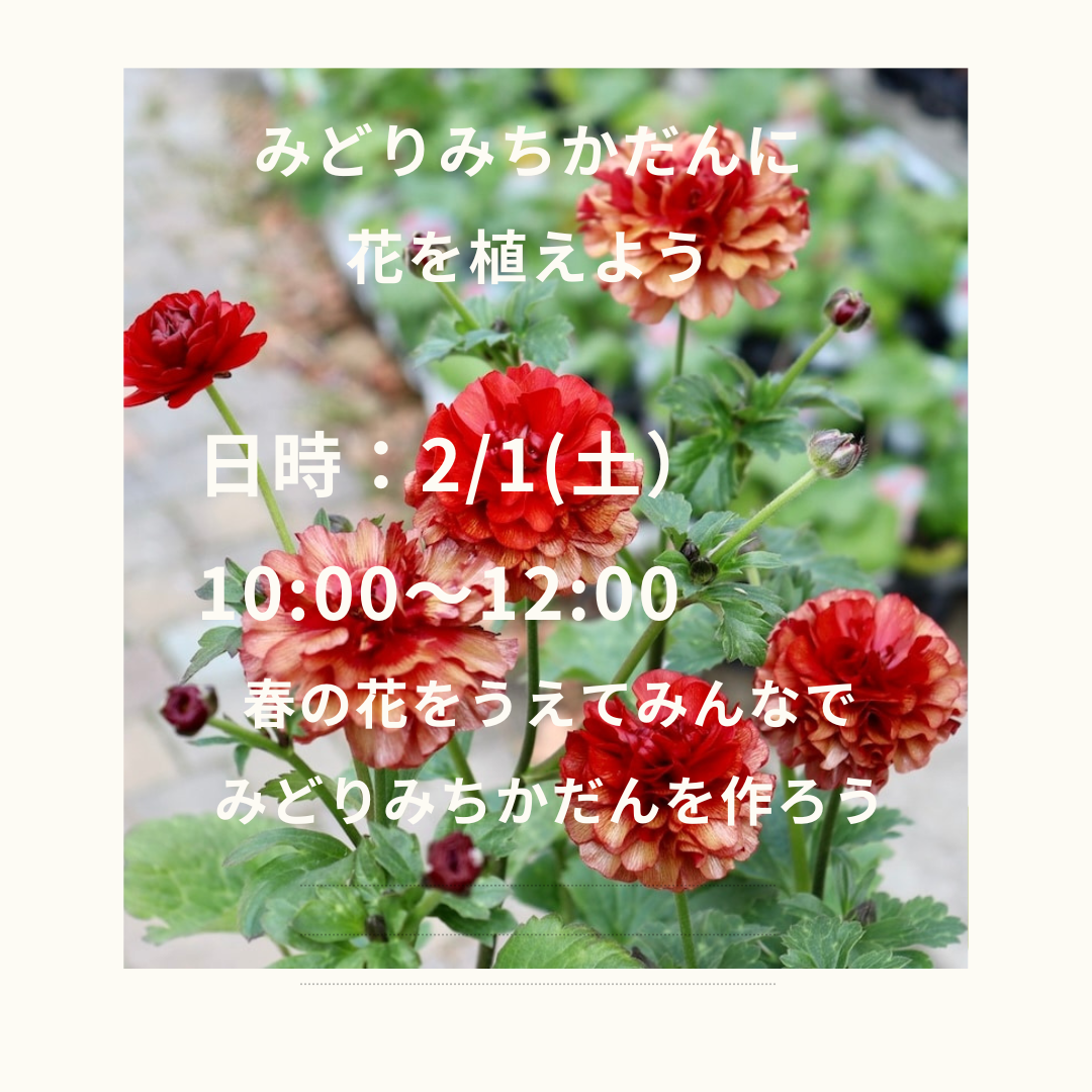 黄色　写真　シンプル　メニュー　A4チラシ (Instagramの投稿)